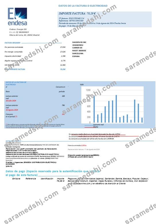 SPAIN ENDESA business utility bill Word and PDF template-pages1